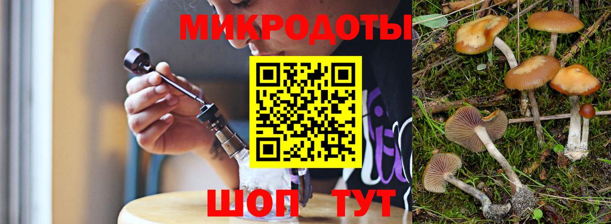 Корсаков  Галлюциногенные грибы ЛСД  Вход с VPN  Псилоцибиновые грибы мицелий 