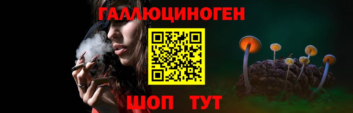 Псилоцибиновые грибы Cubensis Корсаков
